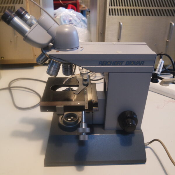 Used Reichert Biovar binocular microscope